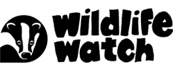 Wildlife Watch